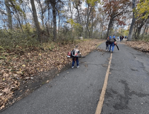 December 2025 – Trail Mix