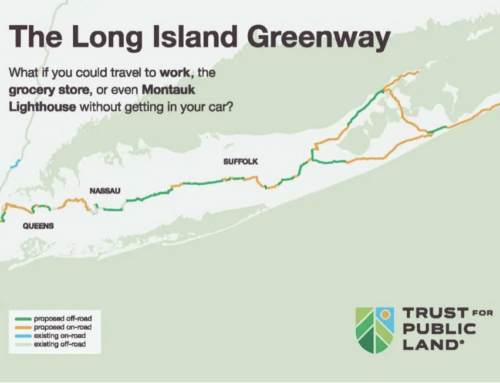 February 2026 – Trail Mix