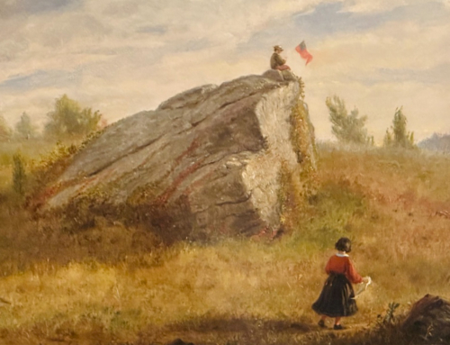 The Trust’s February Photo Letter