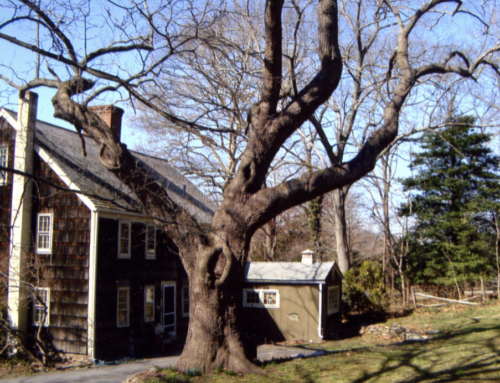 The Three Village Community Trust is proud to participate with LI 250