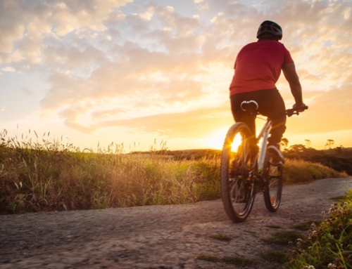 April 2026 – Trail Mix